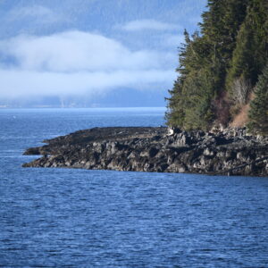 A Gentle Whisper's Brushstrokes: Colors of Alaska